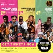 All Africa Festival 2024 poster - Afrocritik