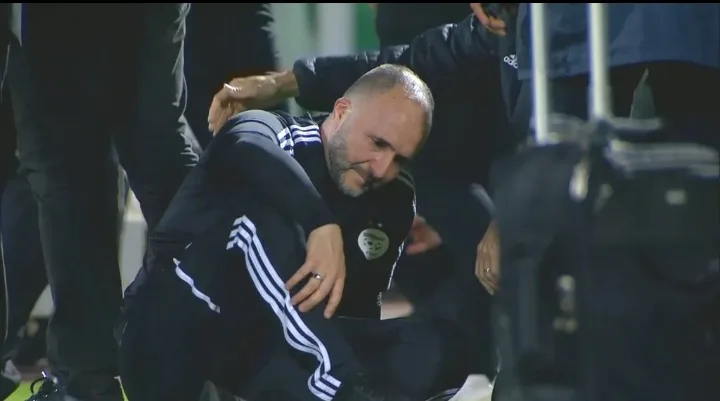 Djamel Belmadi - Afrocritik