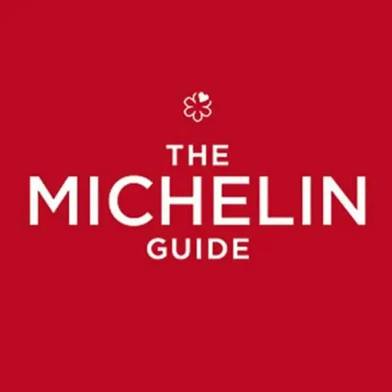 The Michelin Guide - Afrocritik