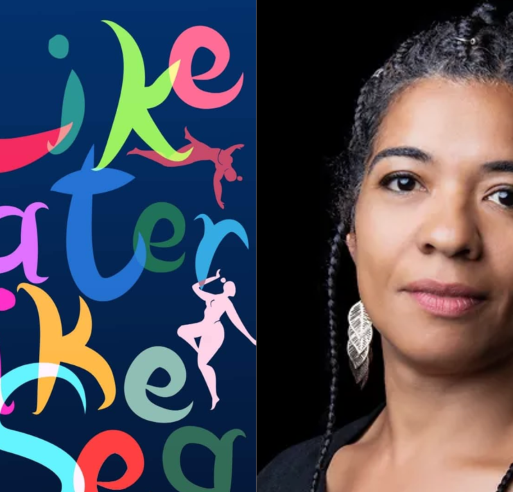 Like Water Like Sea review - Olumide Popoola - Afrocritik