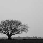 two poems