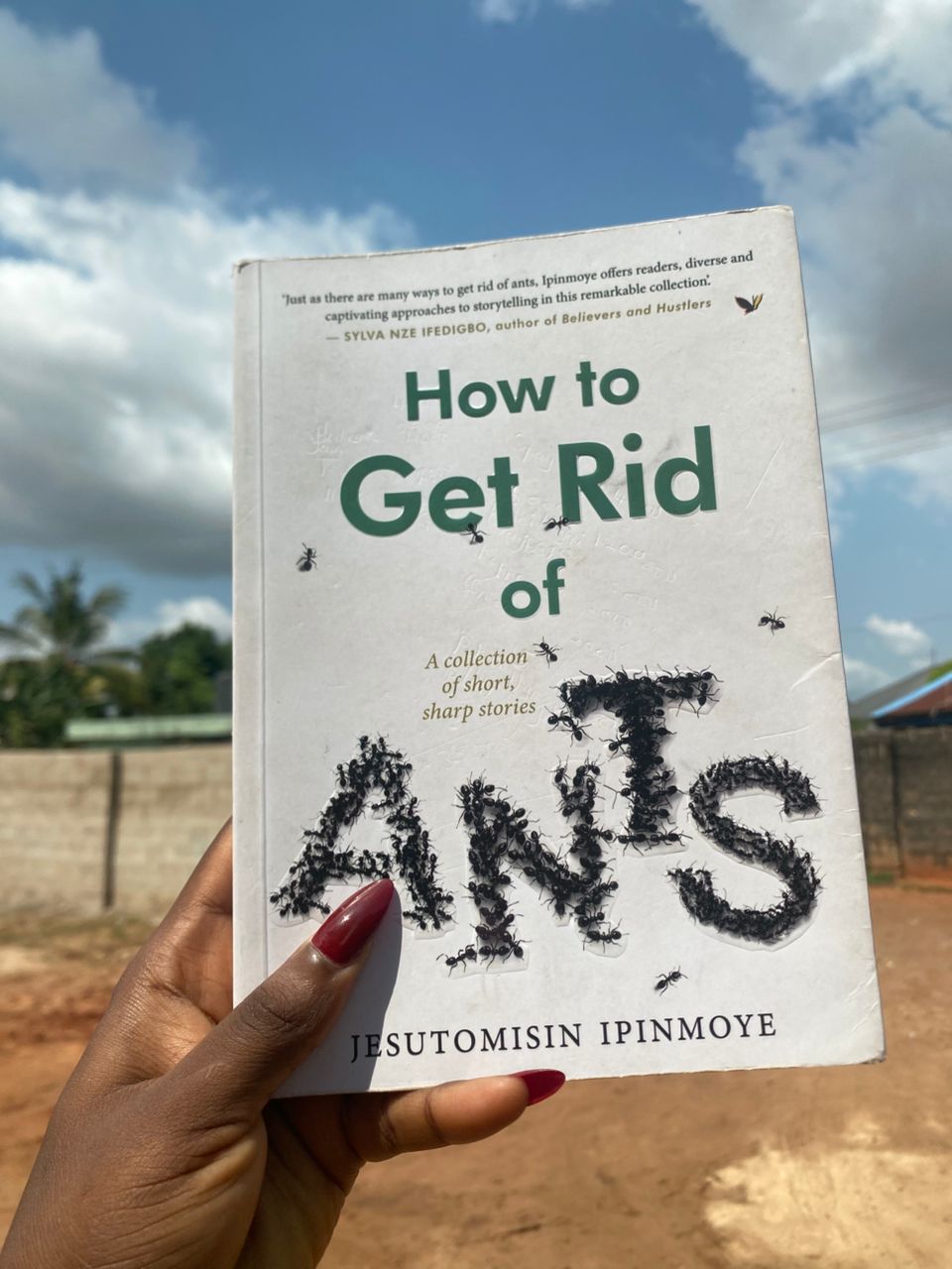 How to Get Rid of Ants