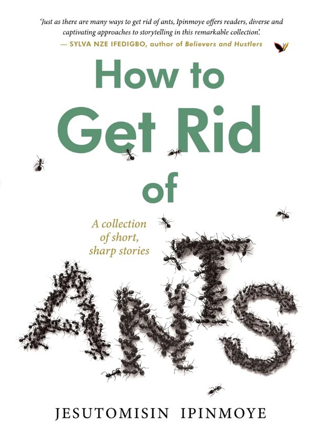 How to Get Rid of Ants