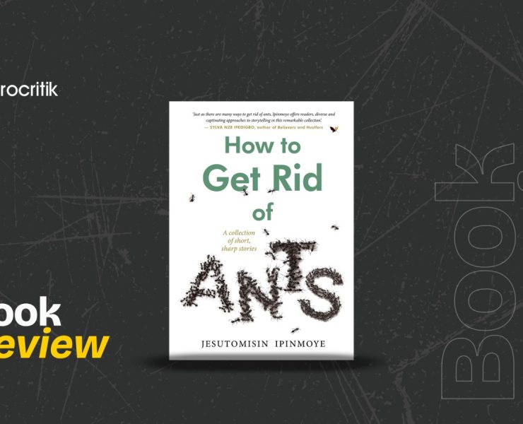 How to Get Rid of Ants