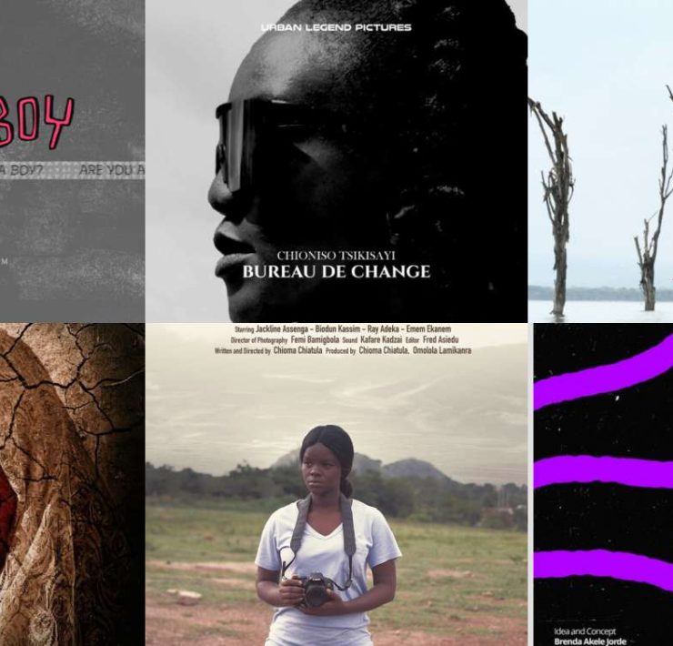 TSWA Film Festival 2025