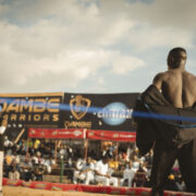 Dambe Warriors League DWL partners with MTN - Afrocritik