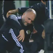 Djamel Belmadi - Afrocritik