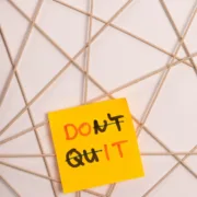 No gree for anybody - Afrocritik