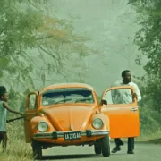 ‘A Green Fever’ - review - Afrocritik
