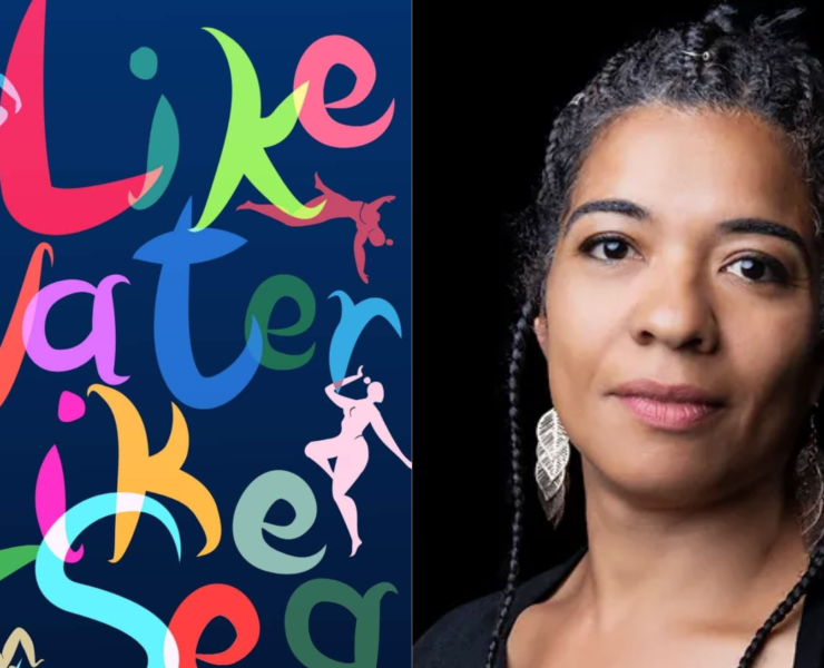 Like Water Like Sea review - Olumide Popoola - Afrocritik