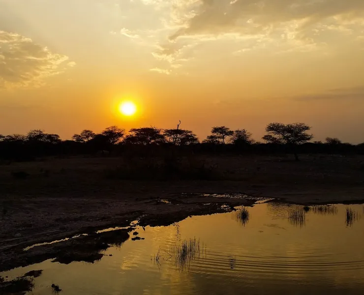 1929| By Chinemerem Prince Nwankwo| Afrocritik