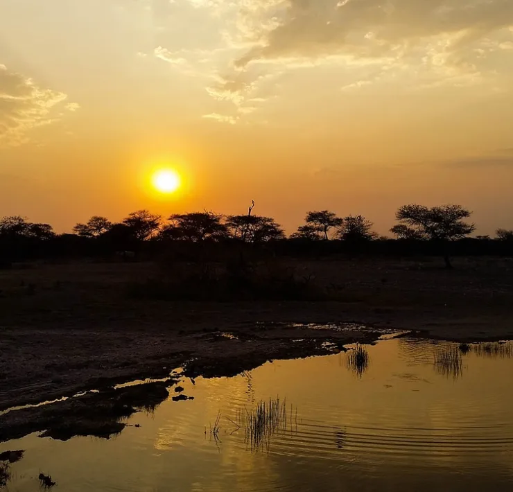 1929| By Chinemerem Prince Nwankwo| Afrocritik