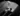Smile, Stranger