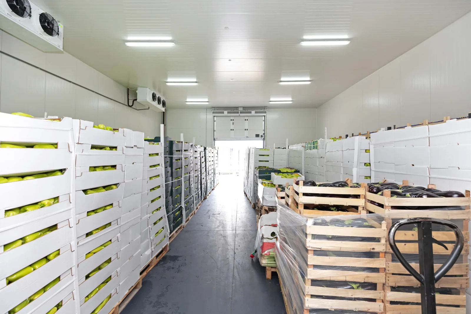 Cold chain storage technology