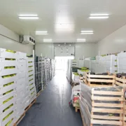 Cold chain storage technology