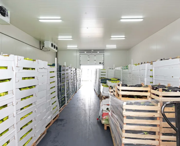 Cold chain storage technology