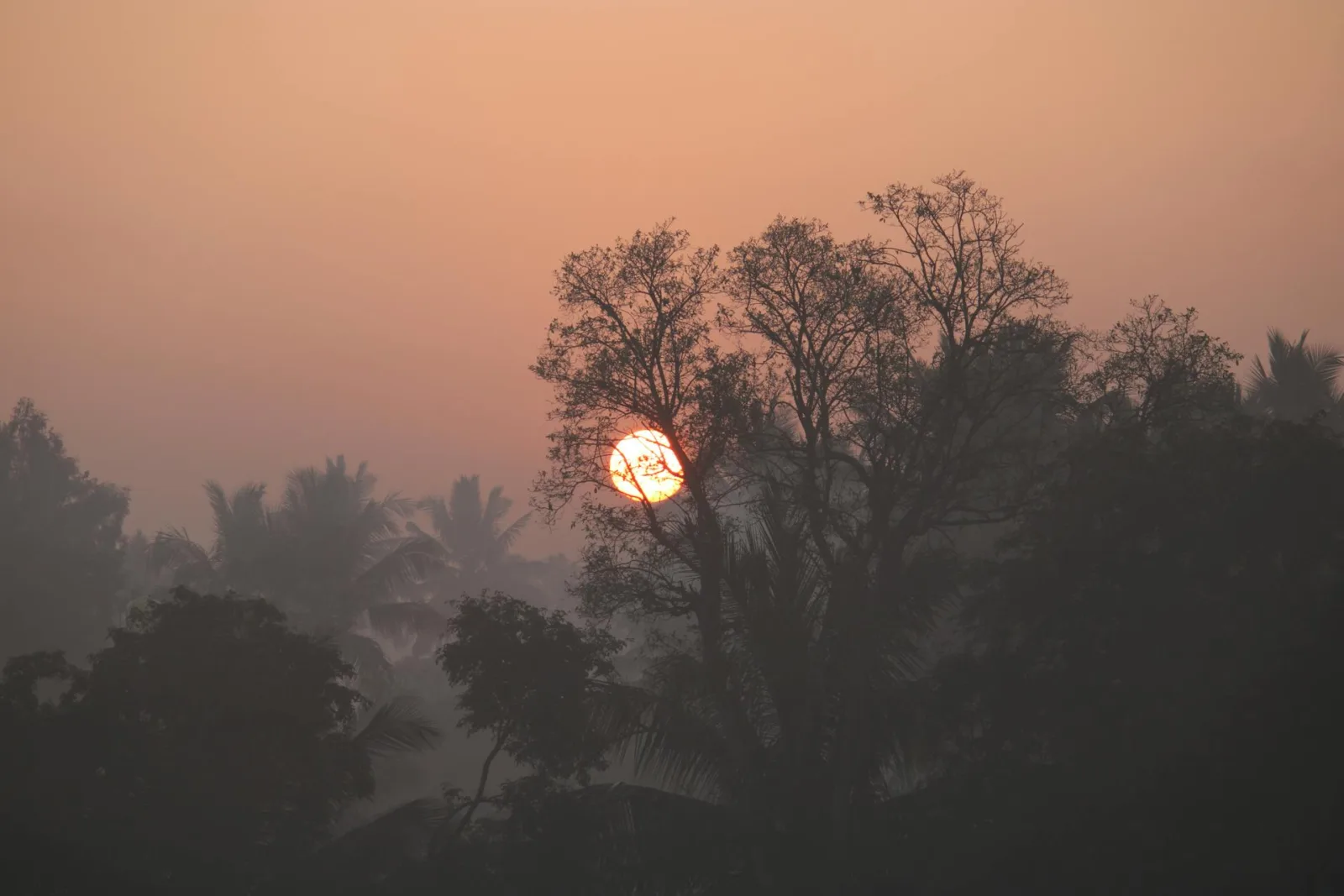 A Sacred Song for You | Tehila Okagbue