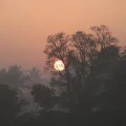 A Sacred Song for You | Tehila Okagbue