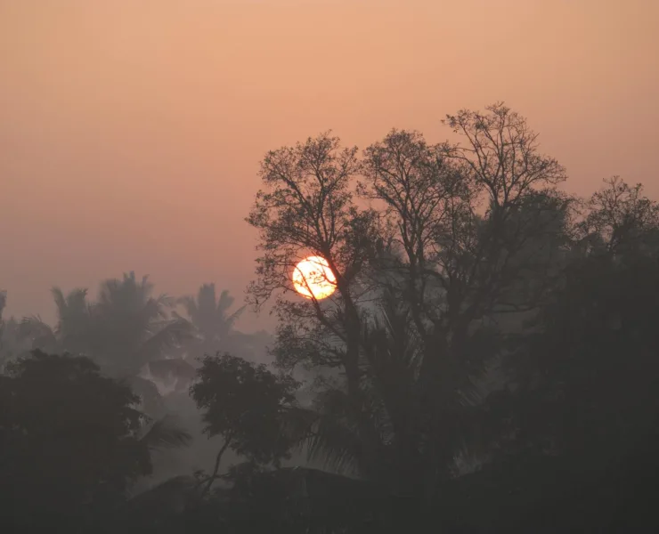 A Sacred Song for You | Tehila Okagbue