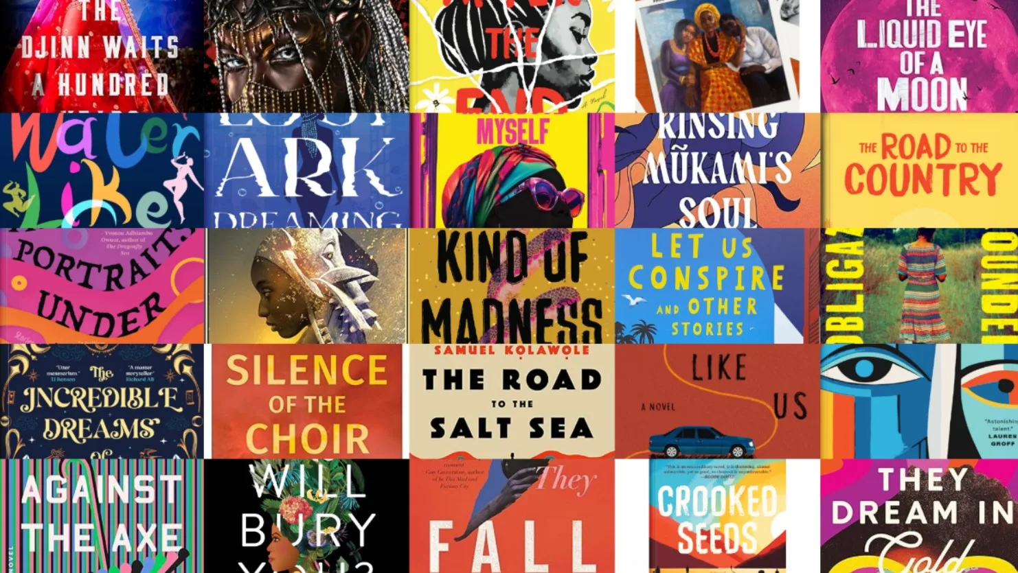 African books and novels 2024