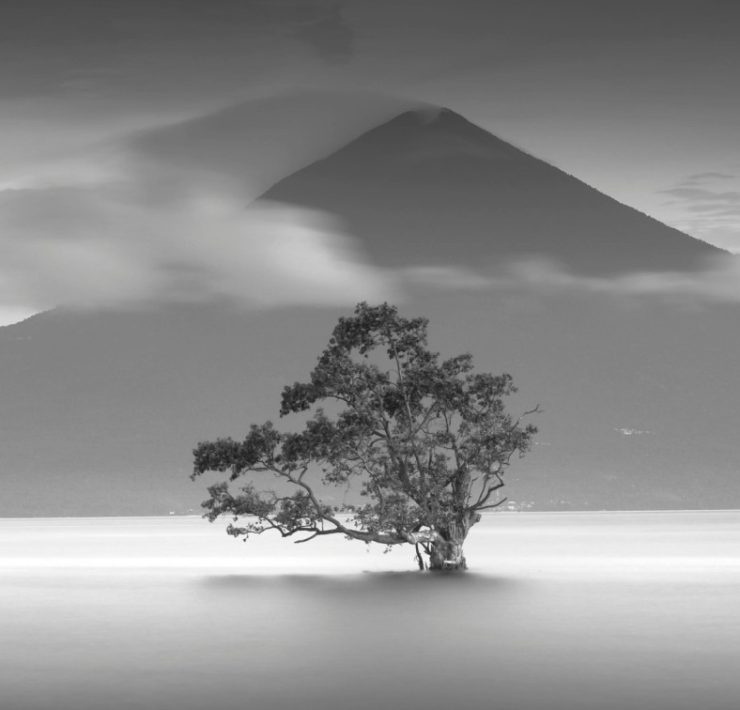 two poems