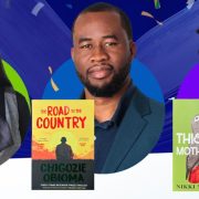 Nigeria Prize For Literature