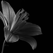 Two Poems
