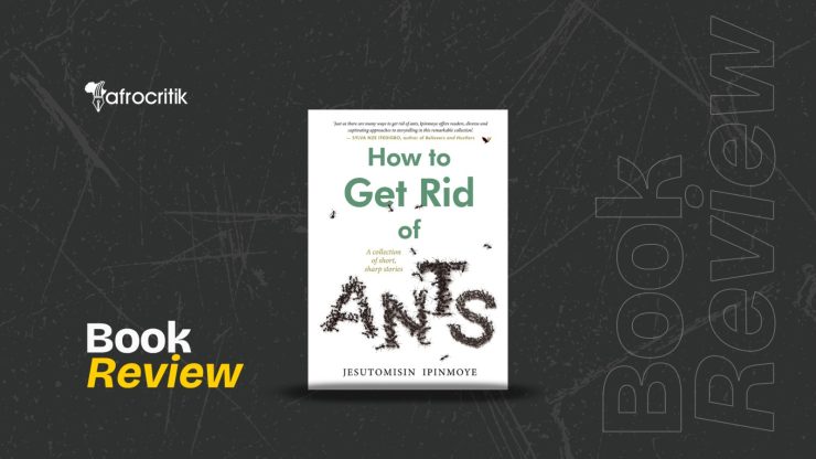 How to Get Rid of Ants