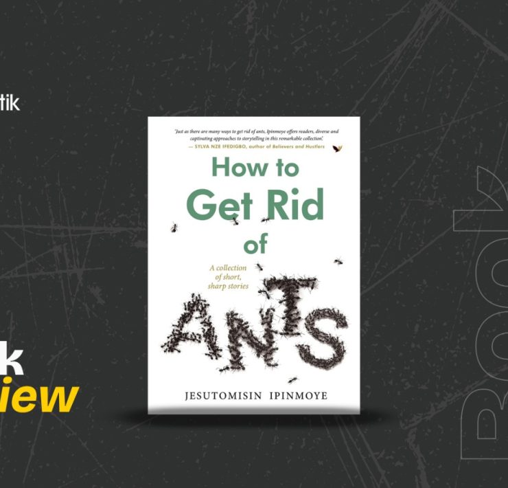 How to Get Rid of Ants