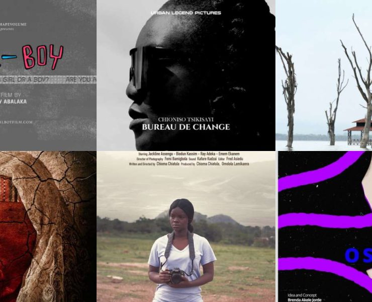 TSWA Film Festival 2025