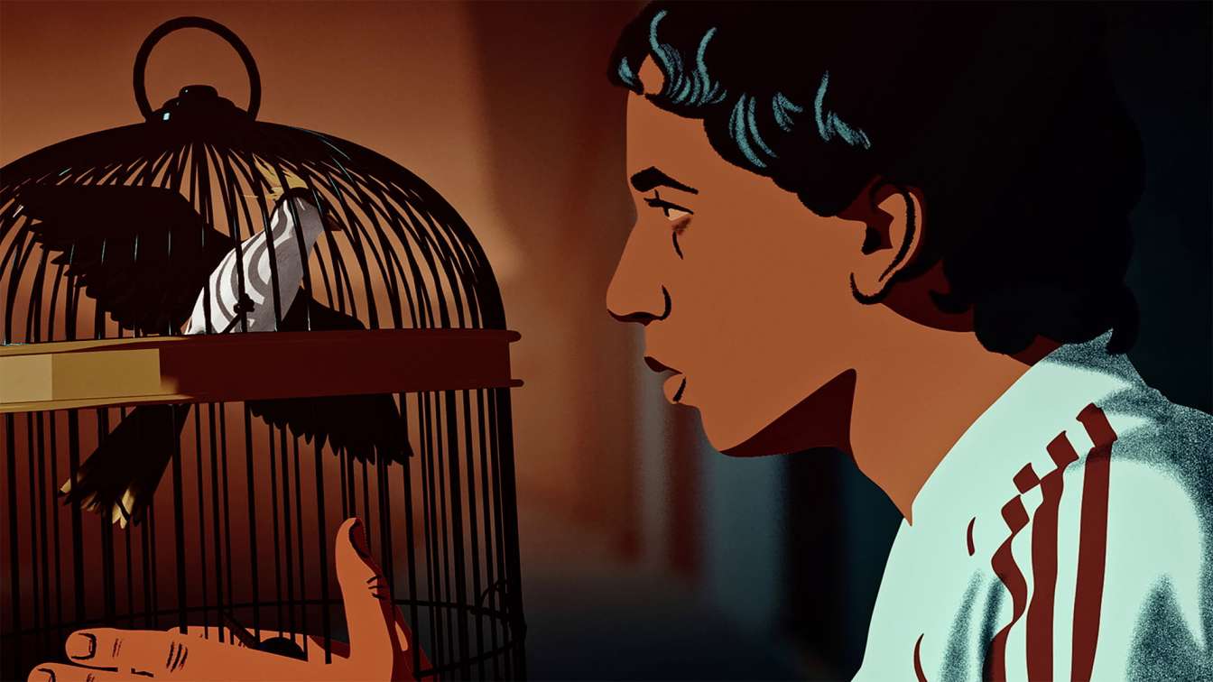 The Bird’s Placebo