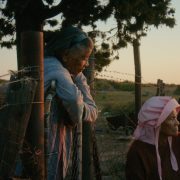 Variations on a Theme