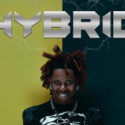 Hybrid