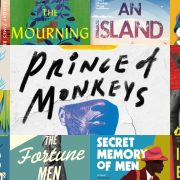 political novels