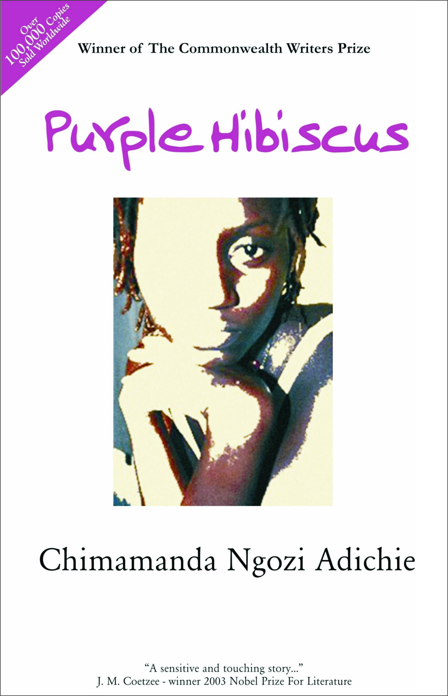 Interior Is a Country: On Nigerian Novels and the Limits of the Screen