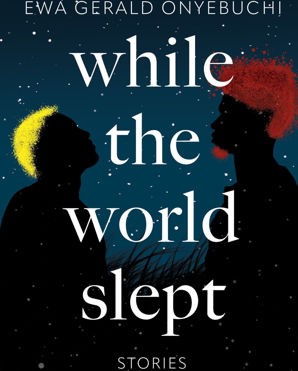 “While the World Slept” Review: A Tender, Uneven Portrait of Gay Life in Nigeria