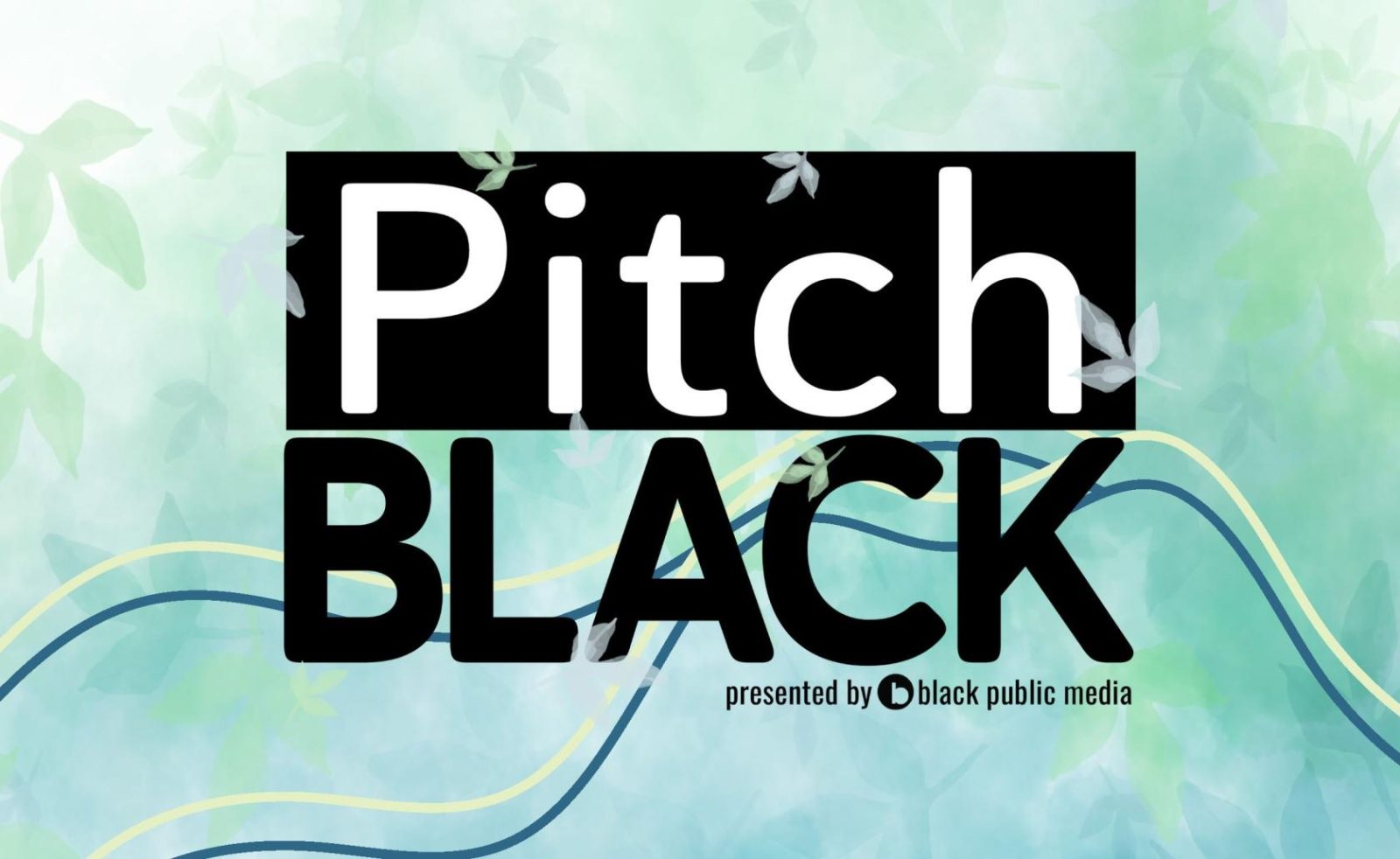 Black Public Media