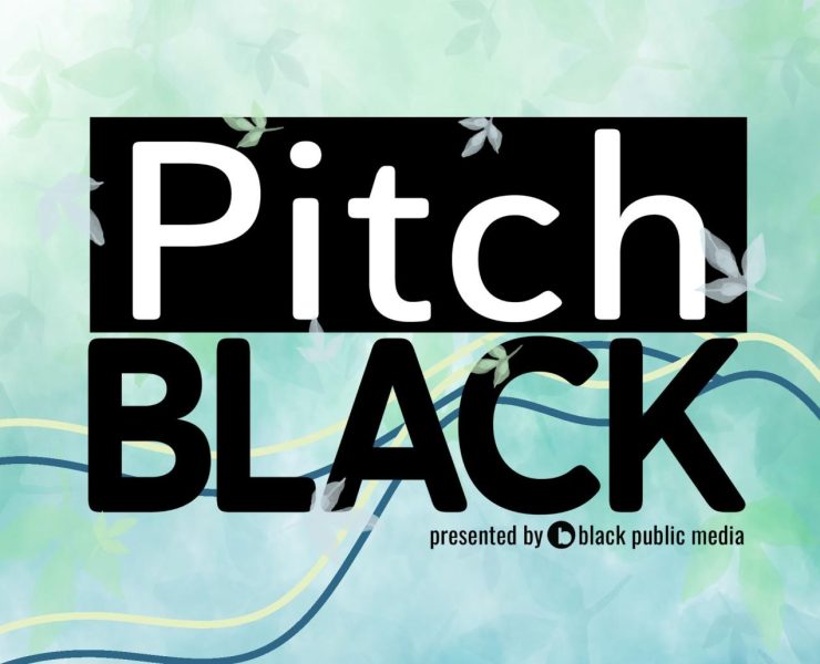 Black Public Media