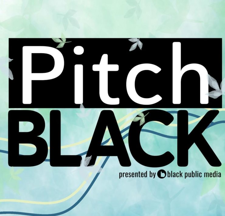 Black Public Media