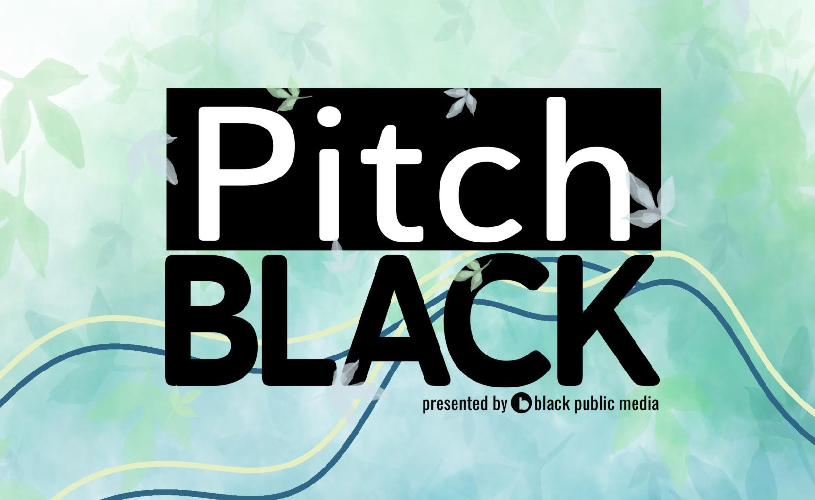 Black Public Media
